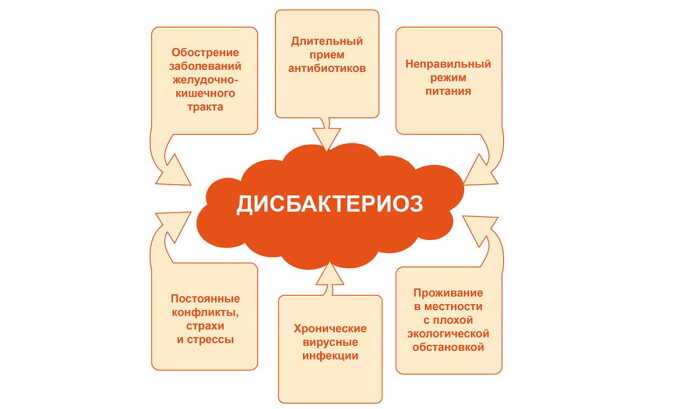 Дисбактериоз или кишечная инфекция могут явиться причиной жжения в области кишечника