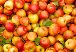 Можно ли употреблять яблоки при панкреатите