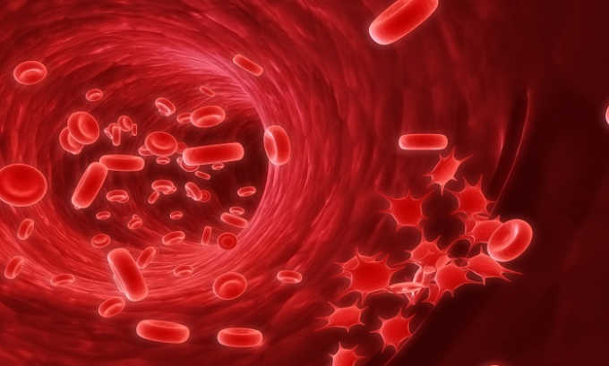 Прием достаточного количества клетчатки защищает кровеносные сосуды от образования бляшек, снижает уровень холестерина в крови
