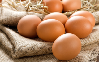 Яйца и другие продукты при панкреатите