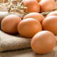 Яйца и другие продукты при панкреатите