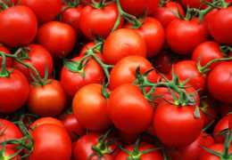 Можно ли помидоры при панкреатите
