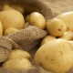 Употребление картофеля при остром и хроническом панкреатите
