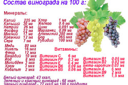 Можно ли есть виноград если болит поджелудочная железа thumbnail