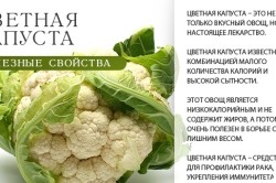 Полезные свойства цветной капусты