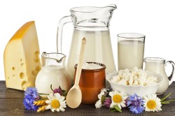 Молочные продукты при панкреатите
