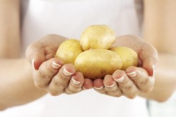 Употребление картофеля при панкреатите
