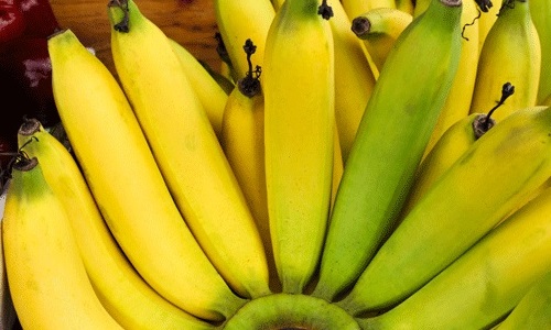 Бананы при панкреатите нужно есть осторожно, поскольку плод может принести вред организму человека, это зависит от стадии заболевания и степени поражения органа